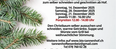Event-Image for 'Christbaum Event mit Ponyreiten'