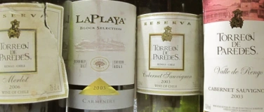 Event-Image for 'Südamerikas gereifte Weine: deutlicher Kontrast zu heute'