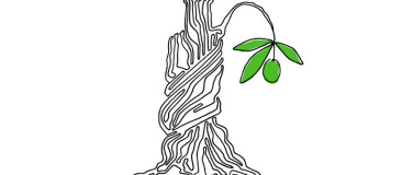 Event-Image for 'Liquid Masterclass Oliven&ouml;l Espor&atilde;o'