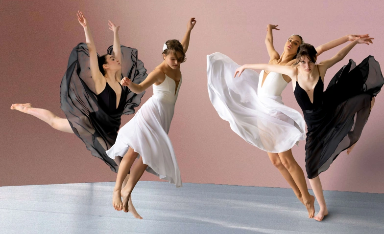 Schwanensee - Schwanengesang Billets