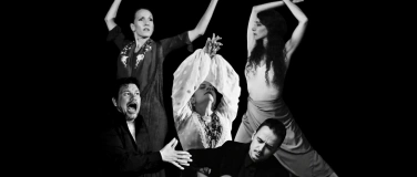 Event-Image for 'Matinée Flamenca Theater STOK'
