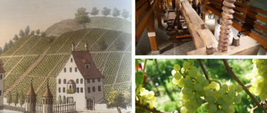 Event-Image for 'The History of Winegrowing on Lake Zurich &ndash; Guided Tour'