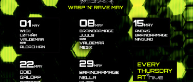 Event-Image for 'HIVE  x WASP 'N RAVE'