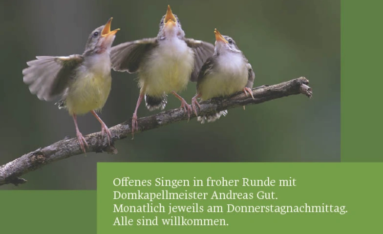 Event-Image for 'Offenes Singen in froher Runde'