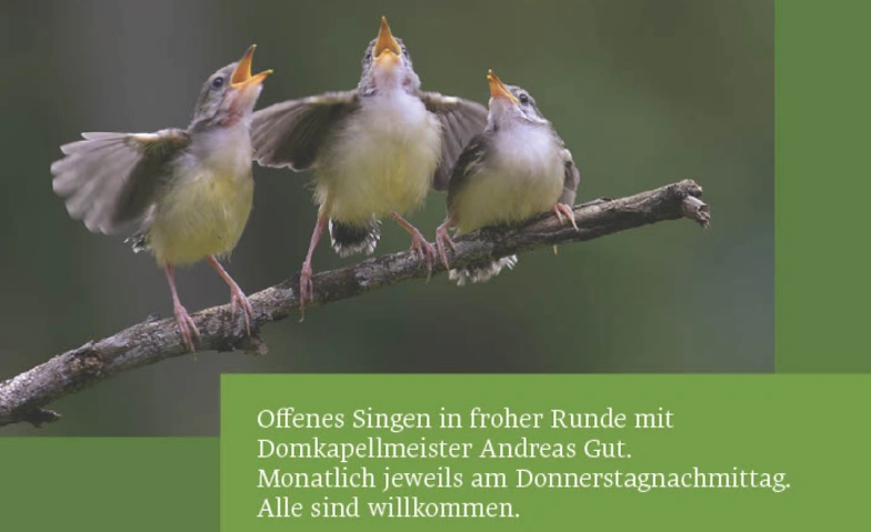Offenes Singen in froher Runde Billets