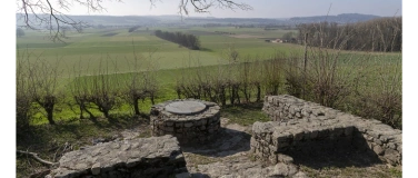 Event-Image for 'Exkursion zur R&ouml;mervilla im Eichholz'