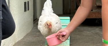 Event-Image for 'ExperimenTIER-Club (Kursnr. 1.6e)'