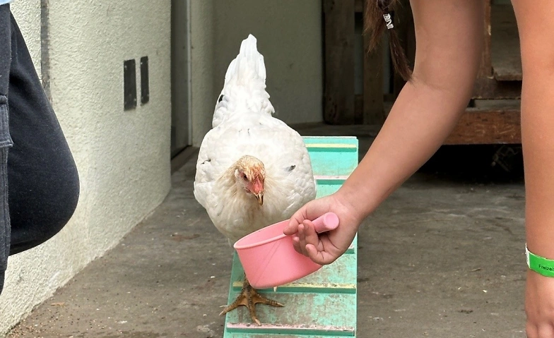 ExperimenTIER-Club (Kursnr. 1.6e) Tickets