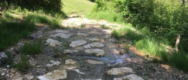 Event-Image for 'Lebensraum Quelle'