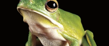 Event-Image for 'Plat&eacute;e'