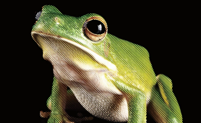 Event-Image for 'Plat&eacute;e'