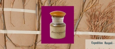 Event-Image for 'Koloniale Spuren – Sammlungen im Kontext'