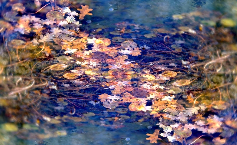 Event-Image for 'Fotoausstellung "Einfach Mehrfach II" - von Christian B&auml;rtsc'
