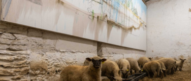 Event-Image for 'Fabrice Hyber &ndash; Homme de Terre'