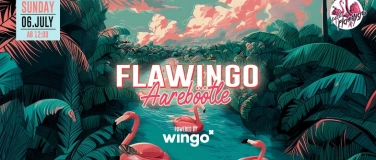 Event-Image for 'Flamingo Aareböötle 2025'