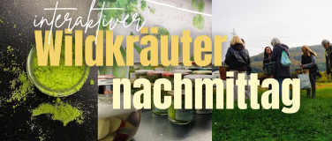 Event-Image for 'Wildkräuternachmittag für Einsteiger'