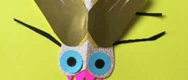 Event-Image for 'Faszination Insekten'