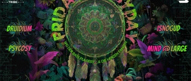 Event-Image for 'Friday Psyday'