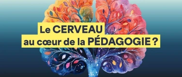 Event-Image for 'Le cerveau au cœur de la pédagogie?'