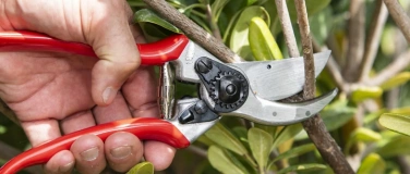 Event-Image for 'Felco Reparatur- und Servicetag  – für deine Gartenschere'
