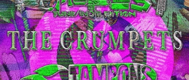 Event-Image for 'Fem-Fest - mit The Crumpets, Tampons und weiteren Bands'
