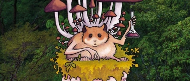 Event-Image for 'Fibsi and the edge of the abyss'