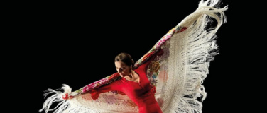 Event-Image for 'Flamenco meets Classic'