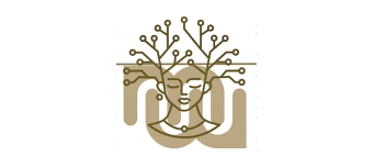 Veranstalter:in von Dragondreaming