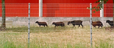 Event-Image for '«Unter uns» Führung'