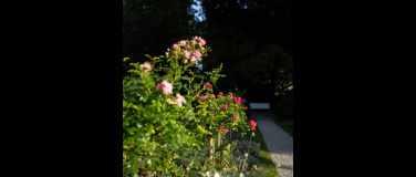 Event-Image for 'Flora-Gartenführung &laquo;Bl&uuml;tenzeit&raquo;'