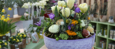 Event-Image for 'Kreative Fr&uuml;hlings- und Osterdekorationen selber gestalten'