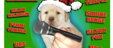 Event-Image for 'Stand Up Bern Open Mic Stellwerk Dezember'