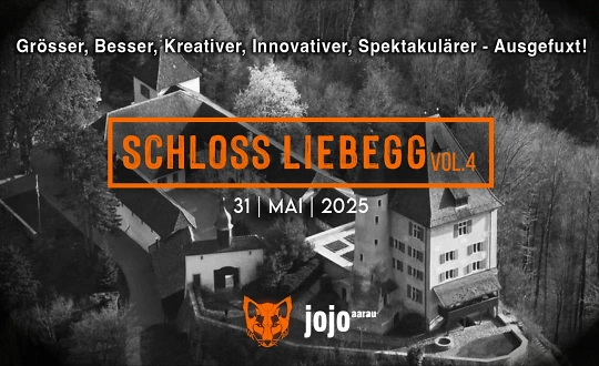 Logo de sponsoring de l'événement Schloss Rave im Schloss Liebegg