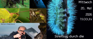 Event-Image for 'Vortrag: Streifzug durch die Schweizer Insektenwelt'
