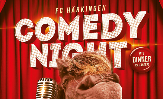 Comedy Night 2023 Mehrzweckhalle Härkingen, Fröschengasse 10, 4624 Härkingen Tickets