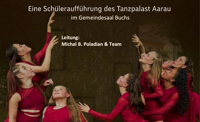 DELIRIOUS- eine rauschende Tanzshow aus dem Tanzpalast-Aarau Billets