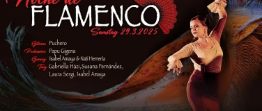 Event-Image for 'Noche de Flamenco'