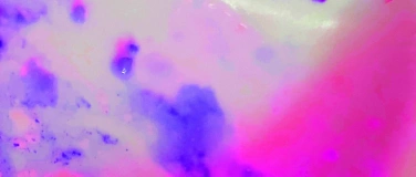 Event-Image for 'hidden habits'