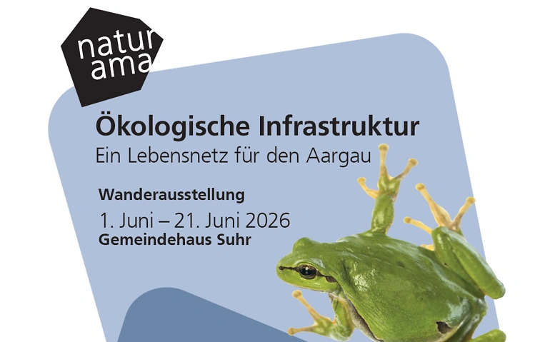 Event-Image for 'Vernissage Naturama-Ausstellung "&Ouml;kologische Infrastruktur"'