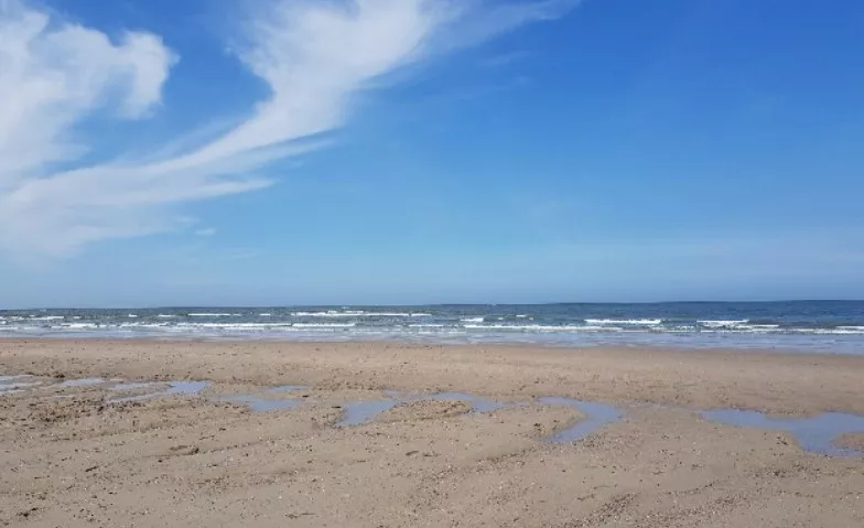 Tagesfahrt zu der Insel Spiekeroog, f&uuml;r Singles jeden Alters Freundschaftskreis Lingen-Meppen-Nordhorn-Rheine, Am Markt, Lingen, Deutschland, 49808 Lingen (Ems) Billets