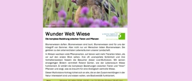 Event-Image for 'Vernetzungsprojekt Michelsamt: Wunder Welt Wiese'