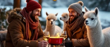 Event-Image for 'Fondue inmitten Alpakas - Bergdietikon'