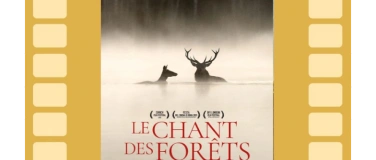 Event-Image for 'DAS FL&Uuml;STERN DER W&Auml;LDER (D ab 6(10)J)'