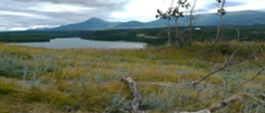 Event-Image for 'Forum Garage - Zukunftsfragen der Gesellschaft'