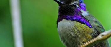 Event-Image for 'EarlyBird Morgenmusik'
