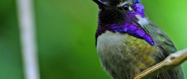Event-Image for 'EarlyBird Morgenmusik'