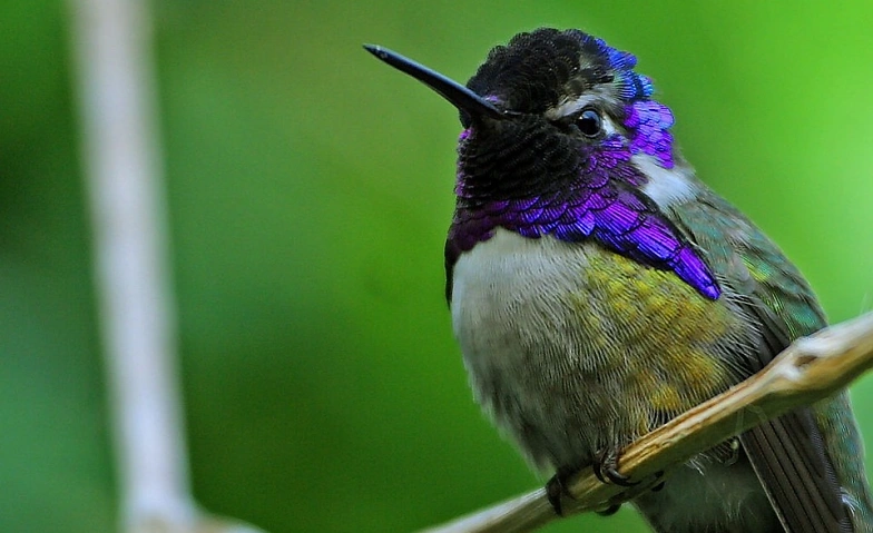 Event-Image for 'EarlyBird Morgenmusik'