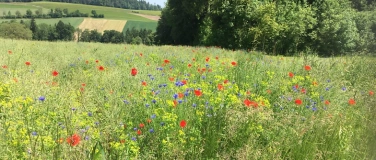 Event-Image for 'Outdoor-Kirche in Winterthur &ndash; Natur erleben mit Familien un'