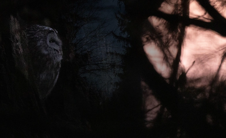 Event-Image for 'Wenn der Tag zur Nacht wird'