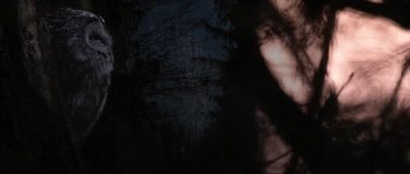 Event-Image for 'Wenn der Tag zur Nacht wird'